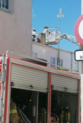 Los bomberos han tenido que actuar a mediodía para eliminar el enjambre.