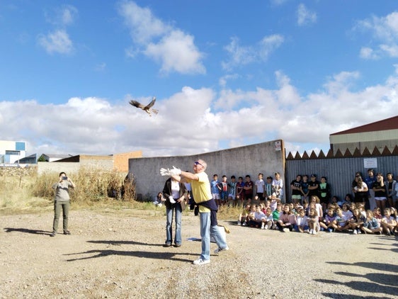 Alumnos del León Leal Ramos presencian la liberación de dos cernícalos vulgares