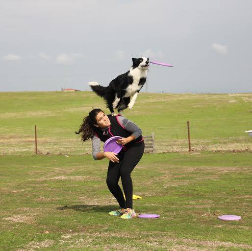 “La primera vez que enseñé a un perro traerme una pelota tenía ocho años”