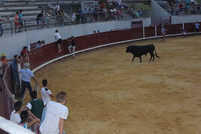 Varios actos taurinos para este Ramo 2016