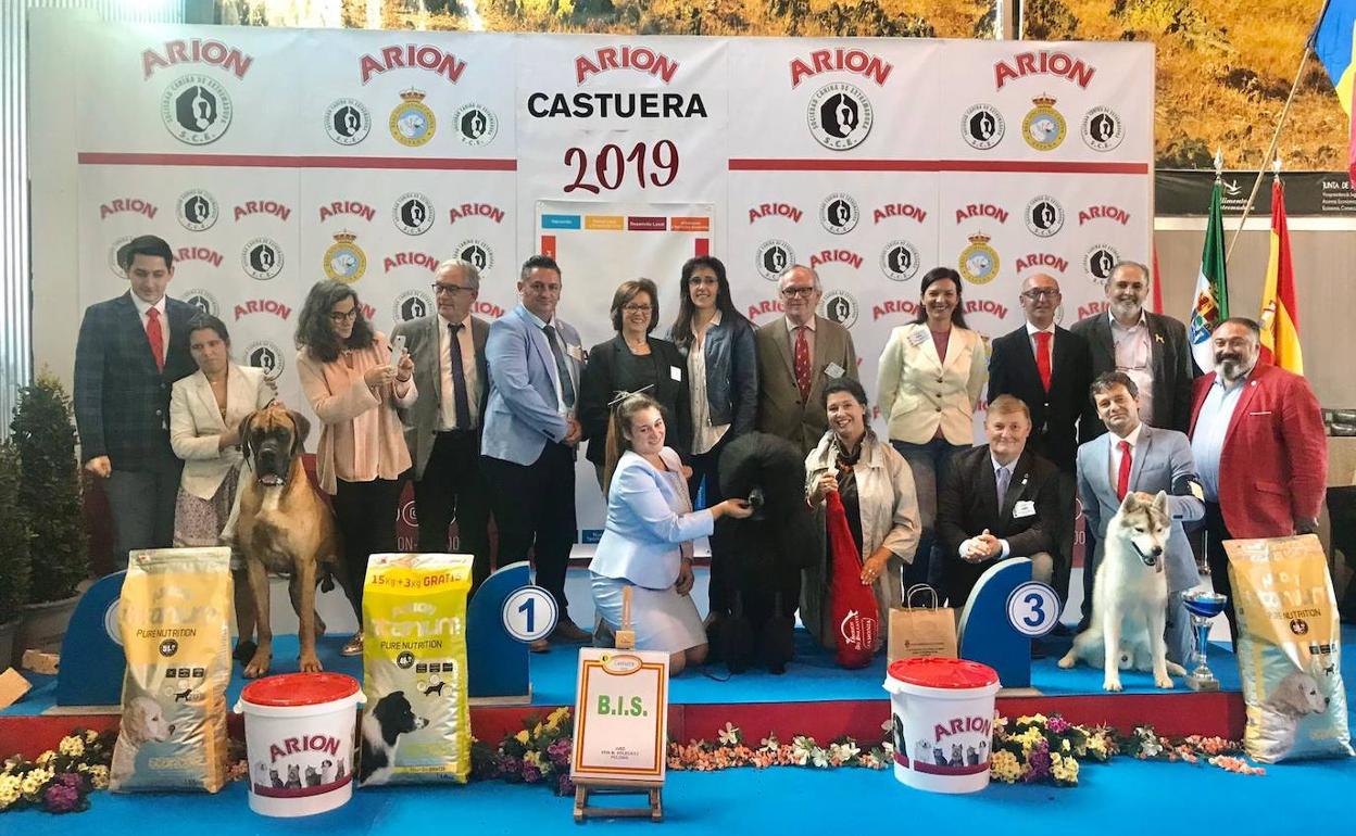 Más de 500 perros de diferentes razas se dieron cita en la Exposición Nacional Canina