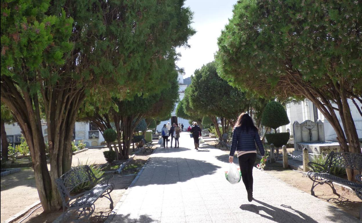 Cementerio de Castuera 