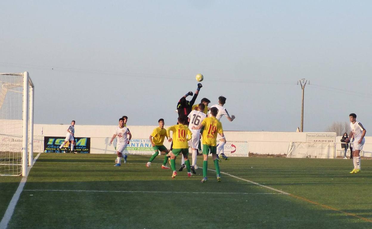 Cinco victorias y cuatro derrotas, balance de los equipos del CD Castuera en la última jornada
