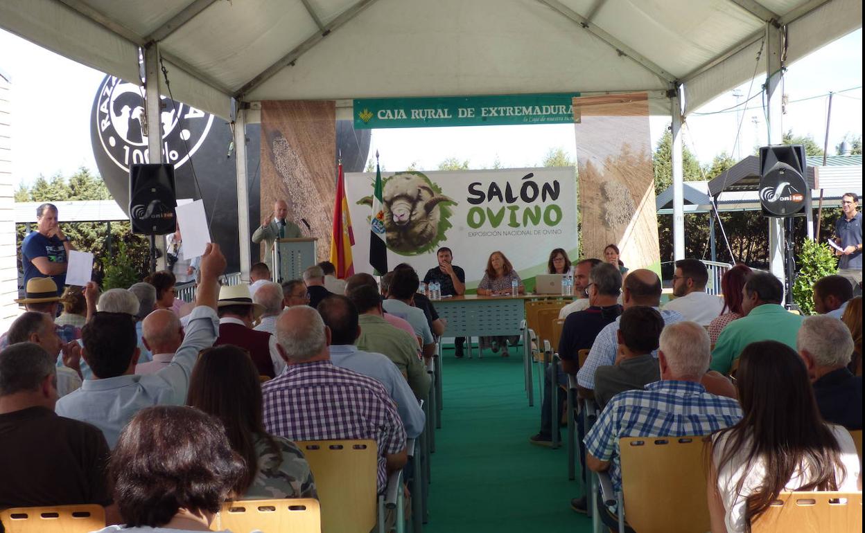 Más de 11.000 visitantes pasaron por el Salón Ovino en su 37º aniversario