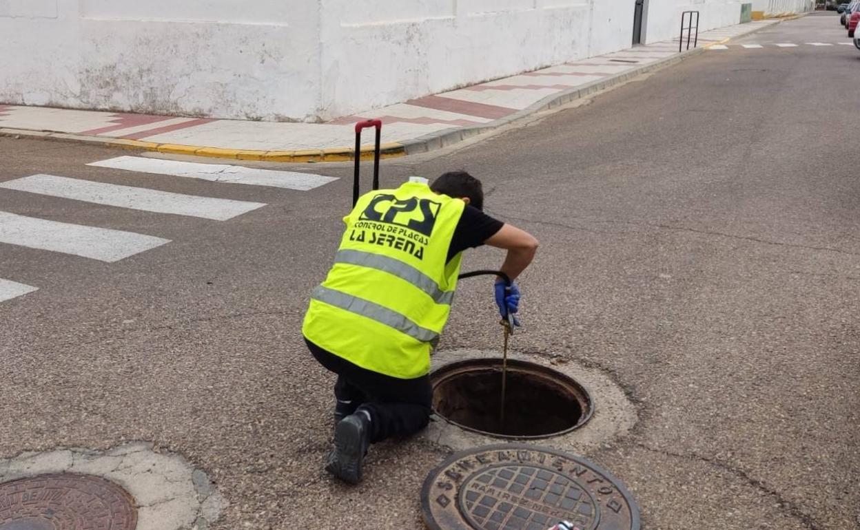 Desinfección en la red de alcantarillado 