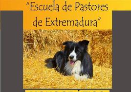 Adistramiento de perros de pastor.