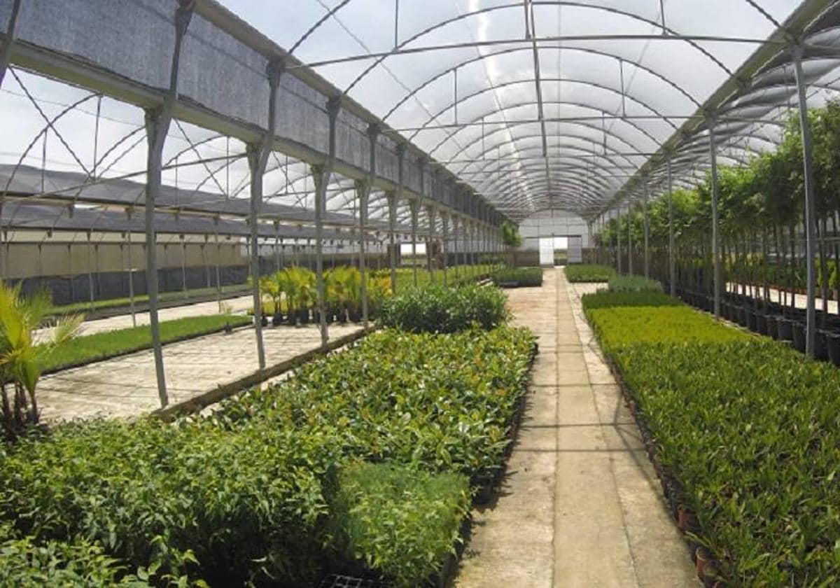 El Vivero Provincial inicia su campaña anual de suministro de plantas para zonas verdes municipales