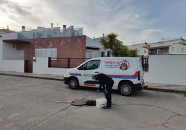 Trabajoz de desinfección en la red de saneamiento.