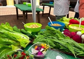 El proyecto de cooperación de AUPEX Erasmus KA2 «In-Salads» recala este miércoles en Castuera