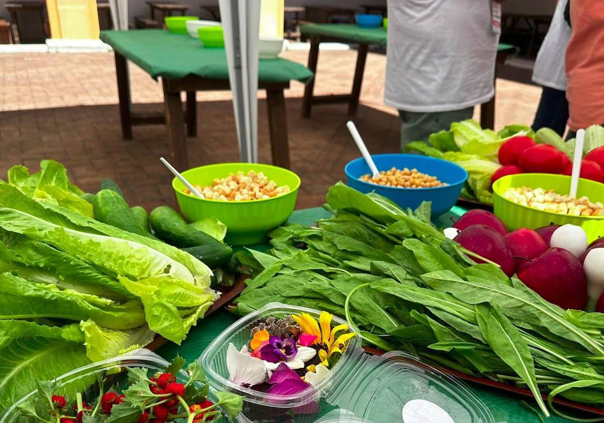 El proyecto de cooperación de AUPEX Erasmus KA2 «In-Salads» recala este miércoles en Castuera