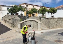 Trabajos de desinfección en la Plaza de San Juan.