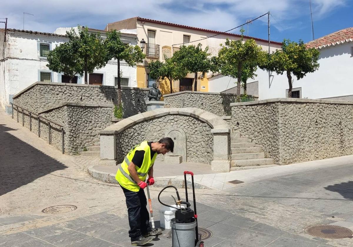 Finaliza la campaña de refuerzo de desinfección y control de la plaga de cucarachas