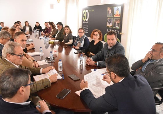 Comisión Ejecutiva de la Federación de Municipios y Provincias de Extremadura (FEMPEX).