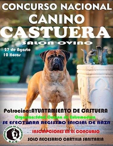 La localidad acogerá el próximo sábado el Concurso Nacional Canino Castuera 2016