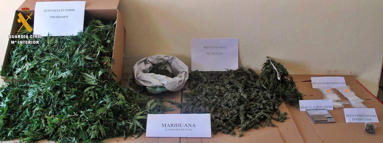 La Guardia Civil de Castuera desmantela dos puntos de cultivo y tráfico de drogas