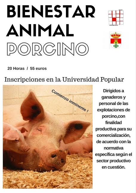 La Universidad Popular oferta un curso de bienestar animal sector porcino