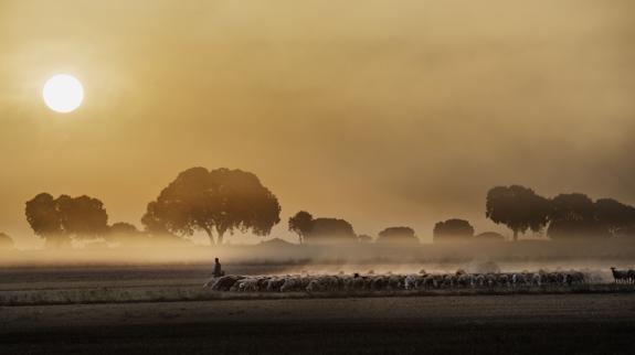 ’Al amanecer’ la fotografía ganadora de la primera edición ::  