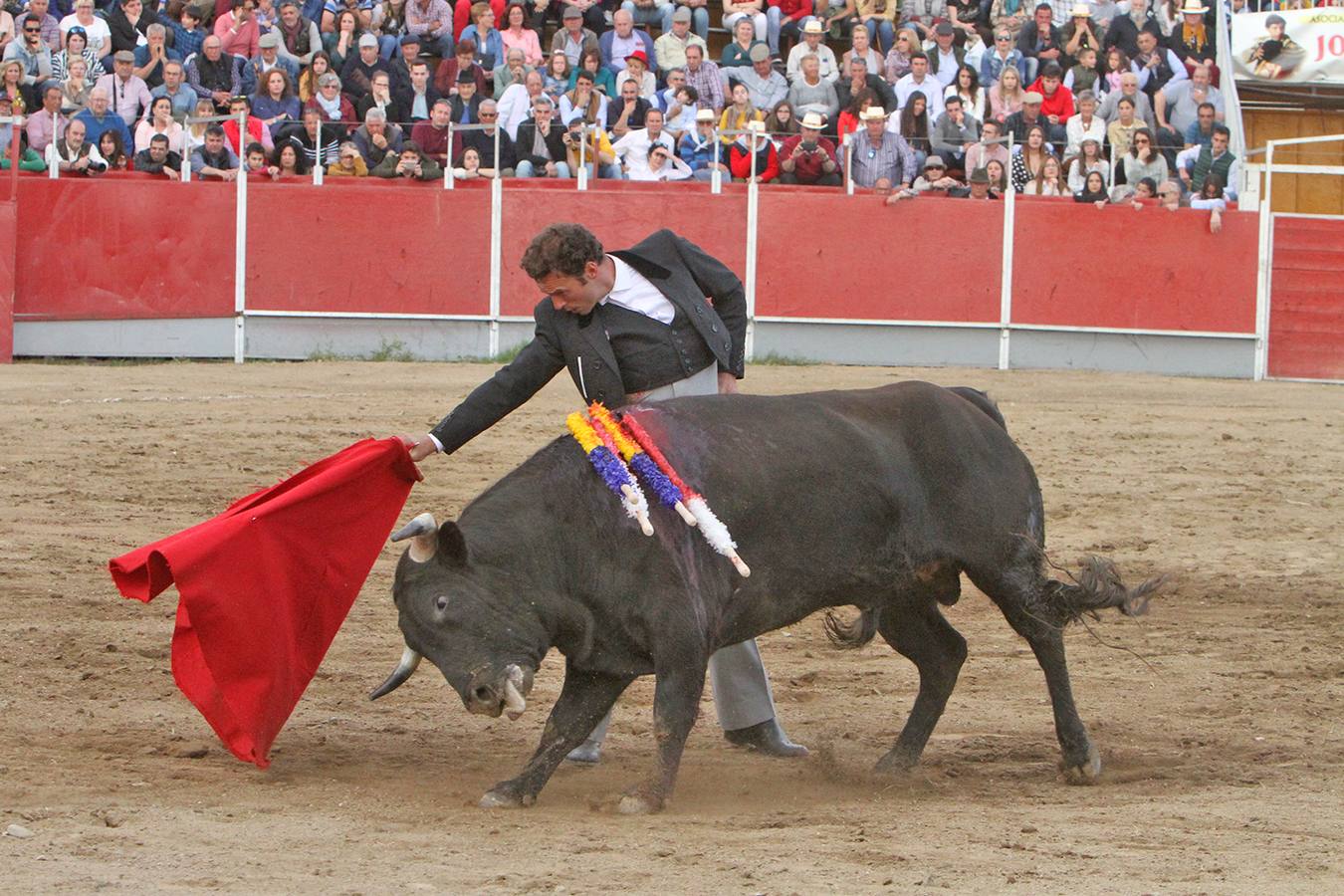 Antonio Ferrera
