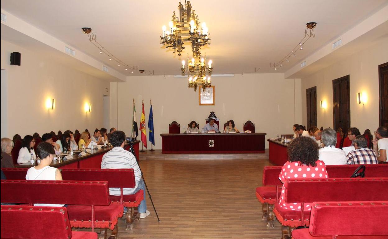 Pleno extraordinario