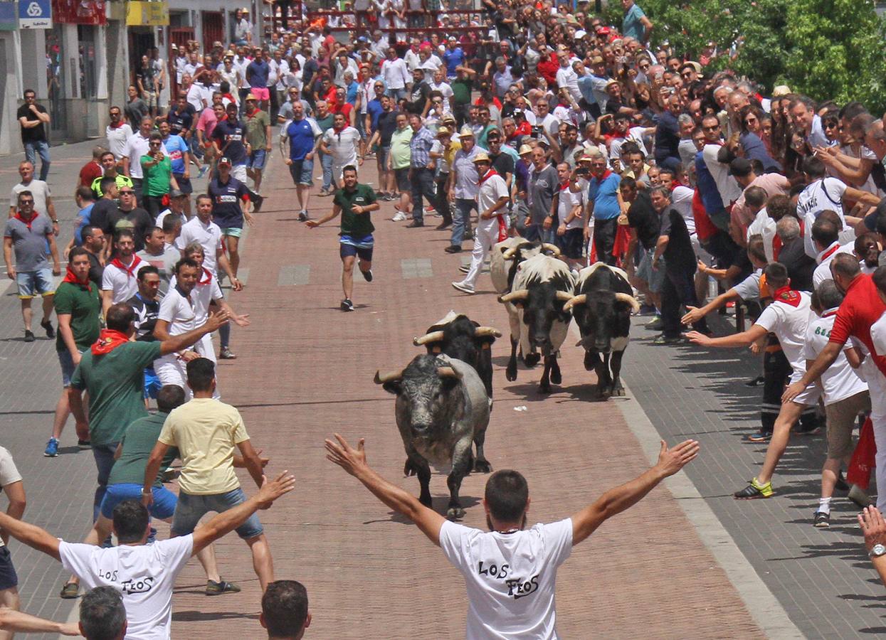 Encierro de Taleguillo