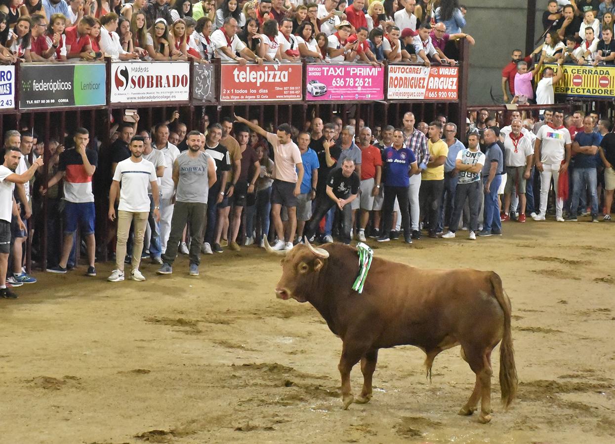 El toro Sabiondo de Osborne no estuvo a la altura que de él se esperaba