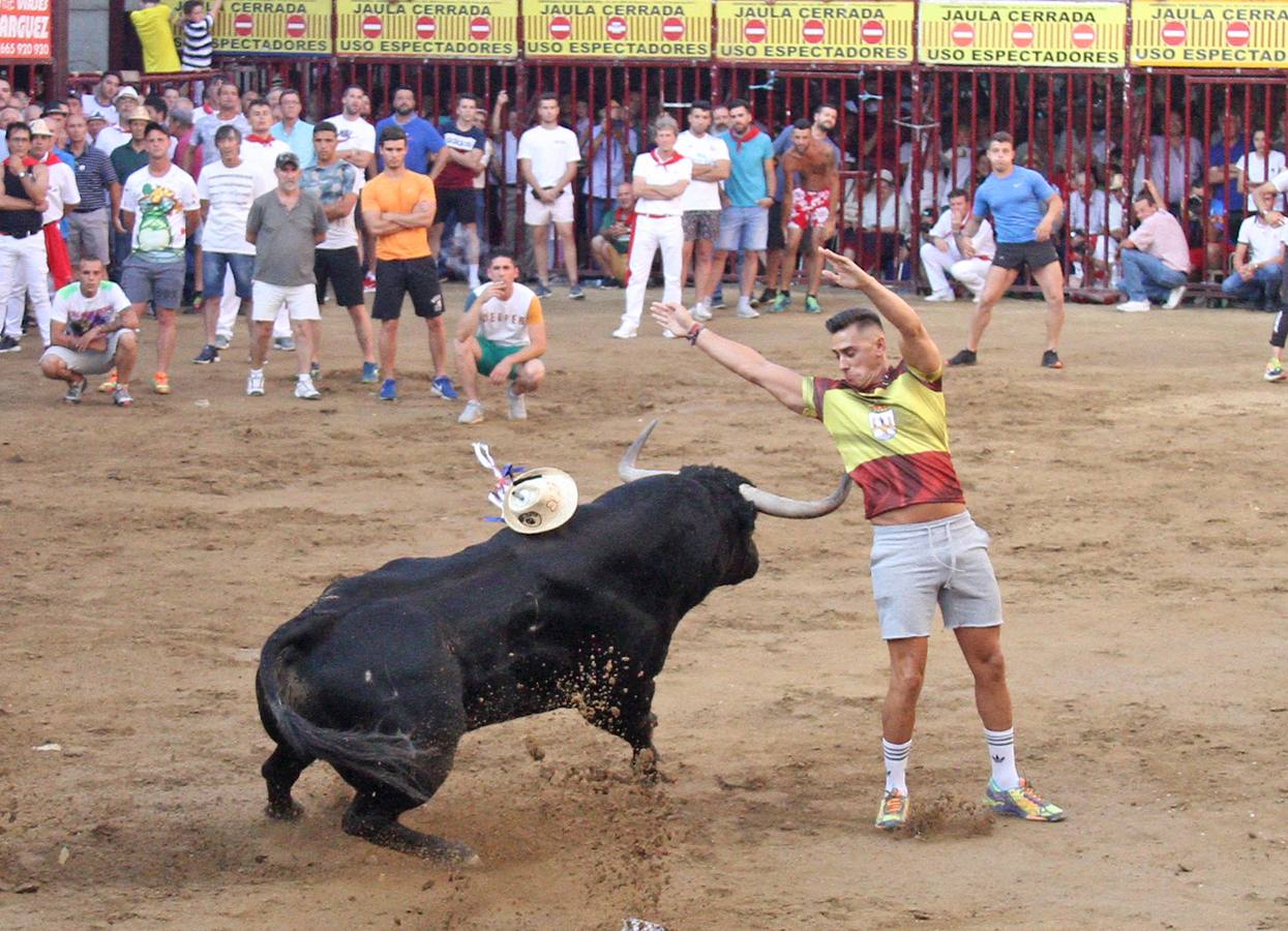 El toro Amante de la Peña El 27 no dio el juego esperado