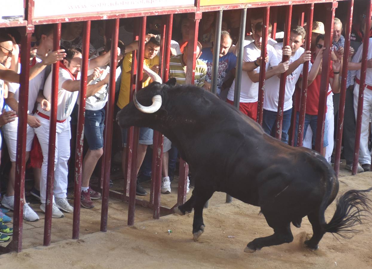 Judío de la Peña La Geta en la plaza