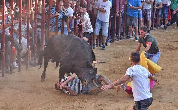 El toro Judío corneó a un hombre en la plaza 