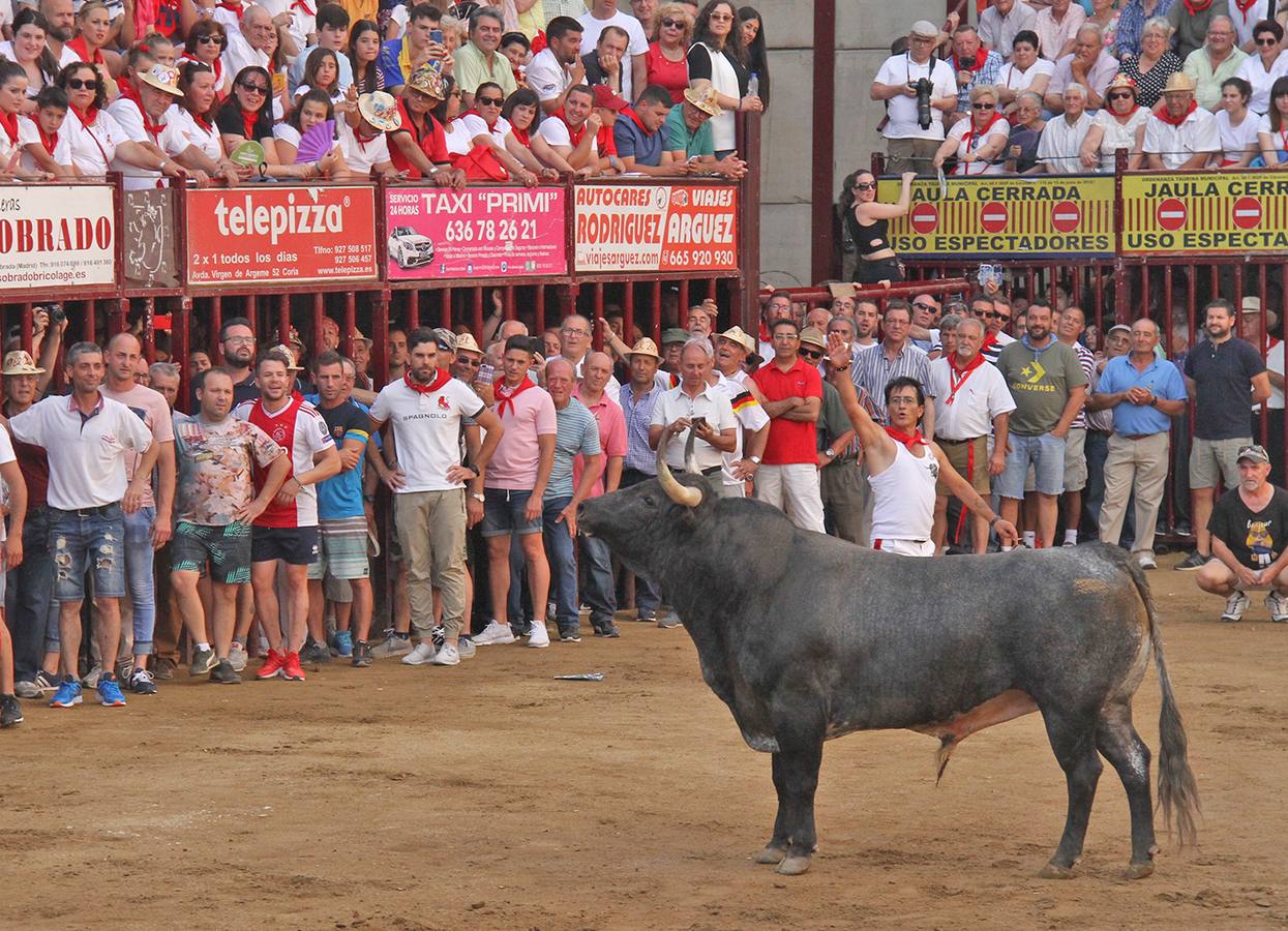 Se podrá visitar del 23 de junio al 23 de julio
