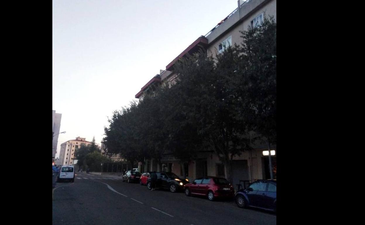 En la avenida Alfonso VII van a actuar los operarios de jardinería