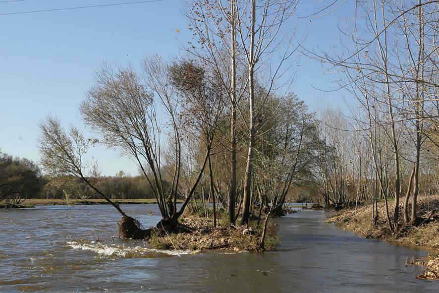 Río Alagón a su paso por Coria
