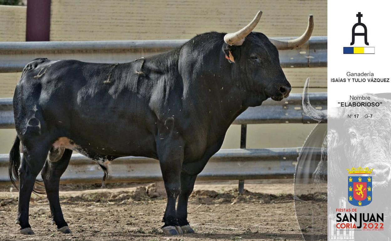 El toro de la madrugada del día 24 será sustituido tras sufrir una cornada