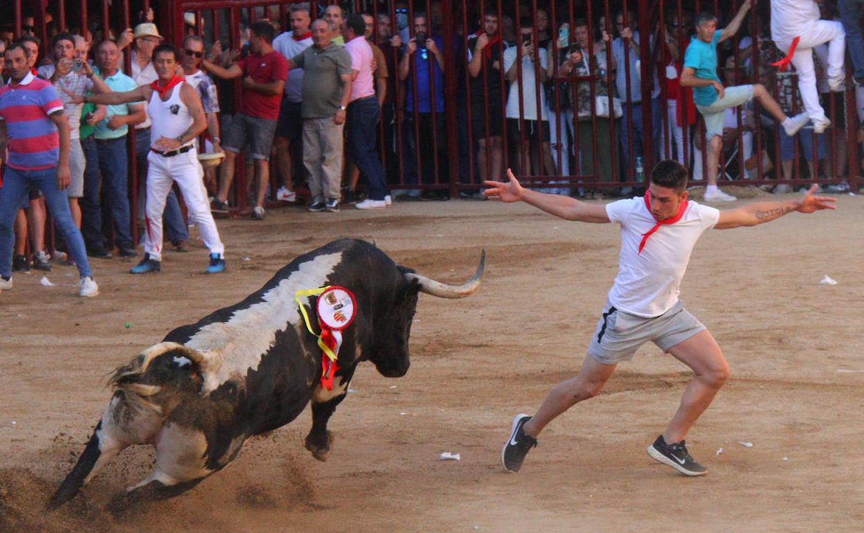 La Junta de Defensa triunfa también con el toro de la tarde