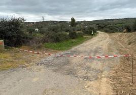 Trabajos en los terrenos aledaños al cementerio municipal de Coria.