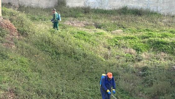 El ayuntamiento insta a los propietarios de solares a limpiar sus terrenos antes del 31 de mayo