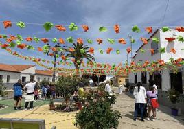Una de las calles decoradas con flores de colores.