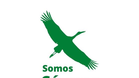 Solicitan un plan de simplificación normativa para acelerar la implementación de energías verdes