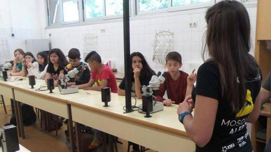 Estudiantes de Coria participan en el proyecto de ciencia ciudadana del CSIC 'Mosquito Alert'