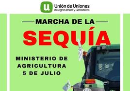 Manifestación 5 de julio.