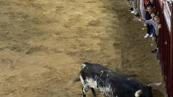 Clavel, de la ganadería Torrestrella, ha sido el primer toro de San Juan 2023