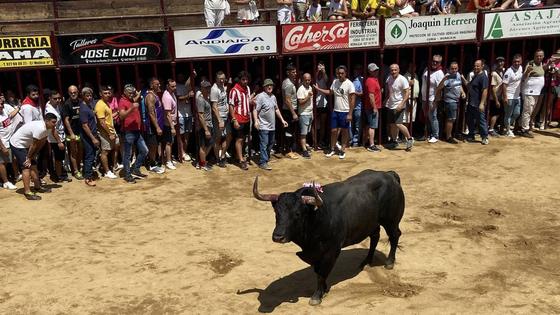 Capuchón protagoniza un encierro en solitario y la primera cogida de San Juan 2023