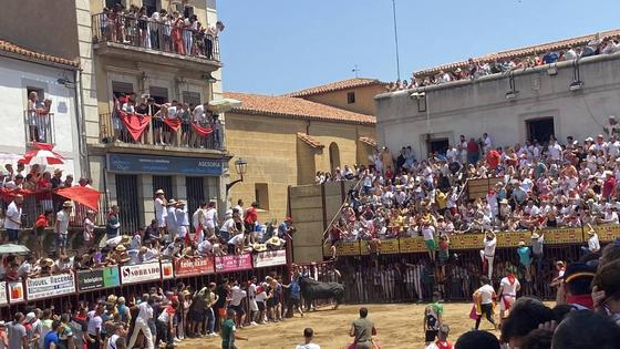 Primera cogida en los Sanjuanes de Coria de 2023