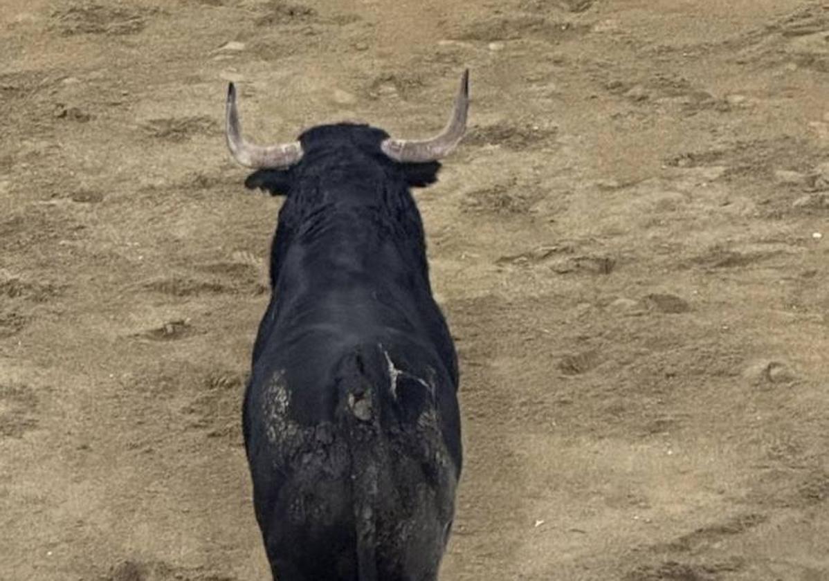 Tacaño da por finalizadas las madrugadas de San Juan con un buen espectáculo