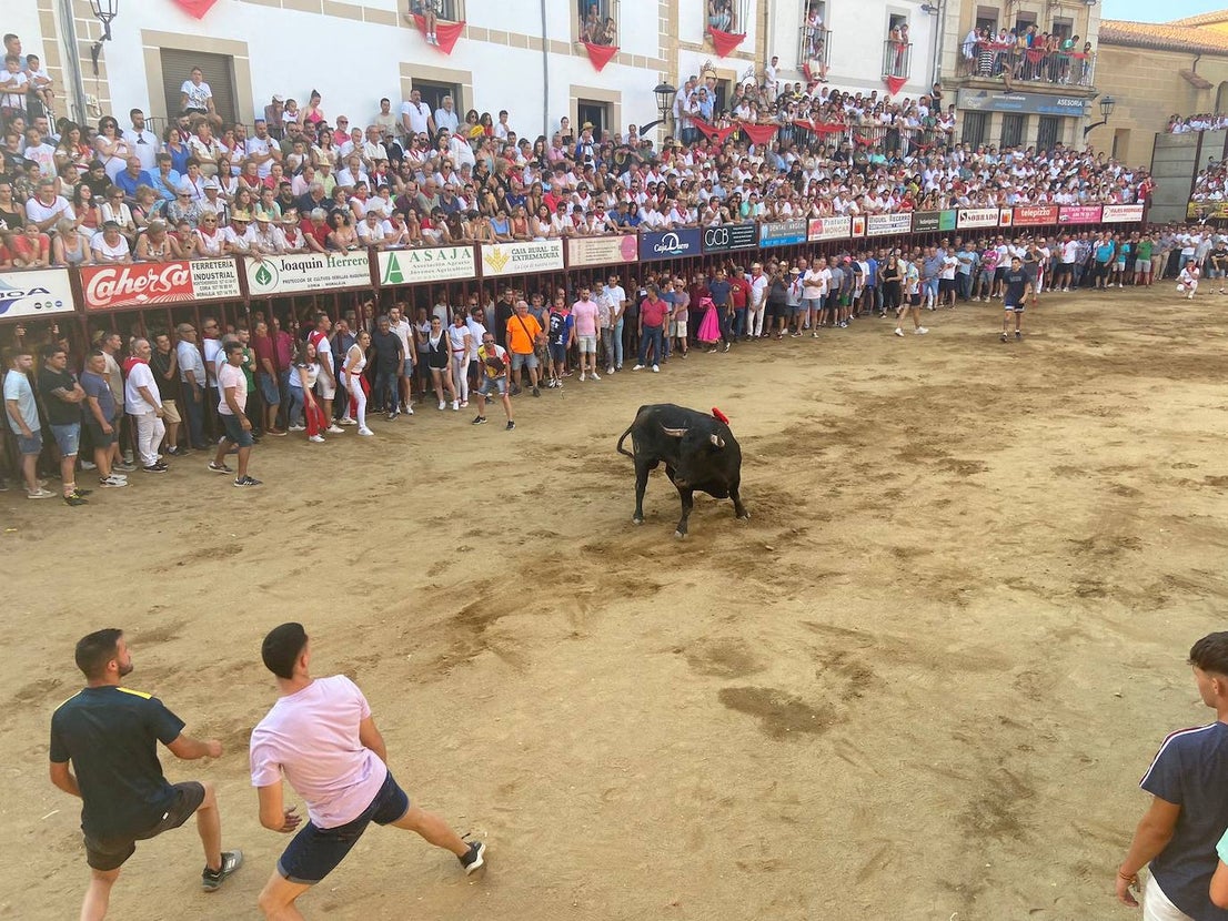 Últimos encierros de los Sanjuanes de Coria, en imágenes
