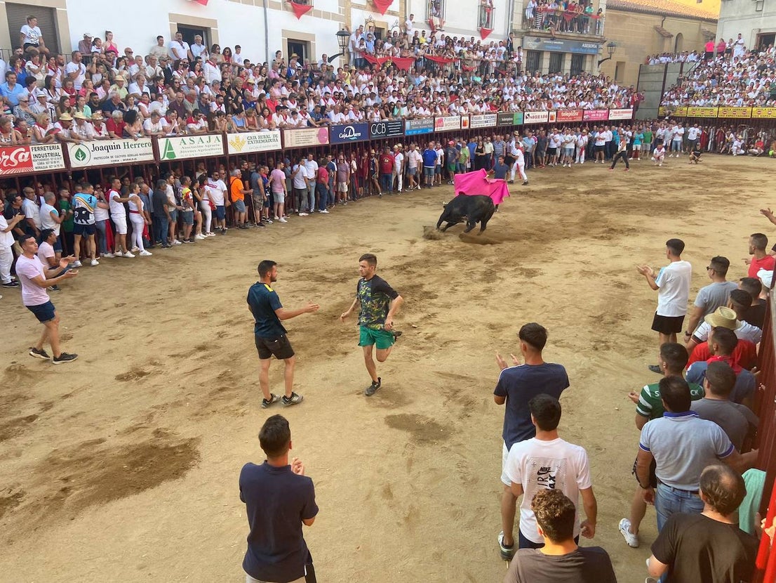 Últimos encierros de los Sanjuanes de Coria, en imágenes