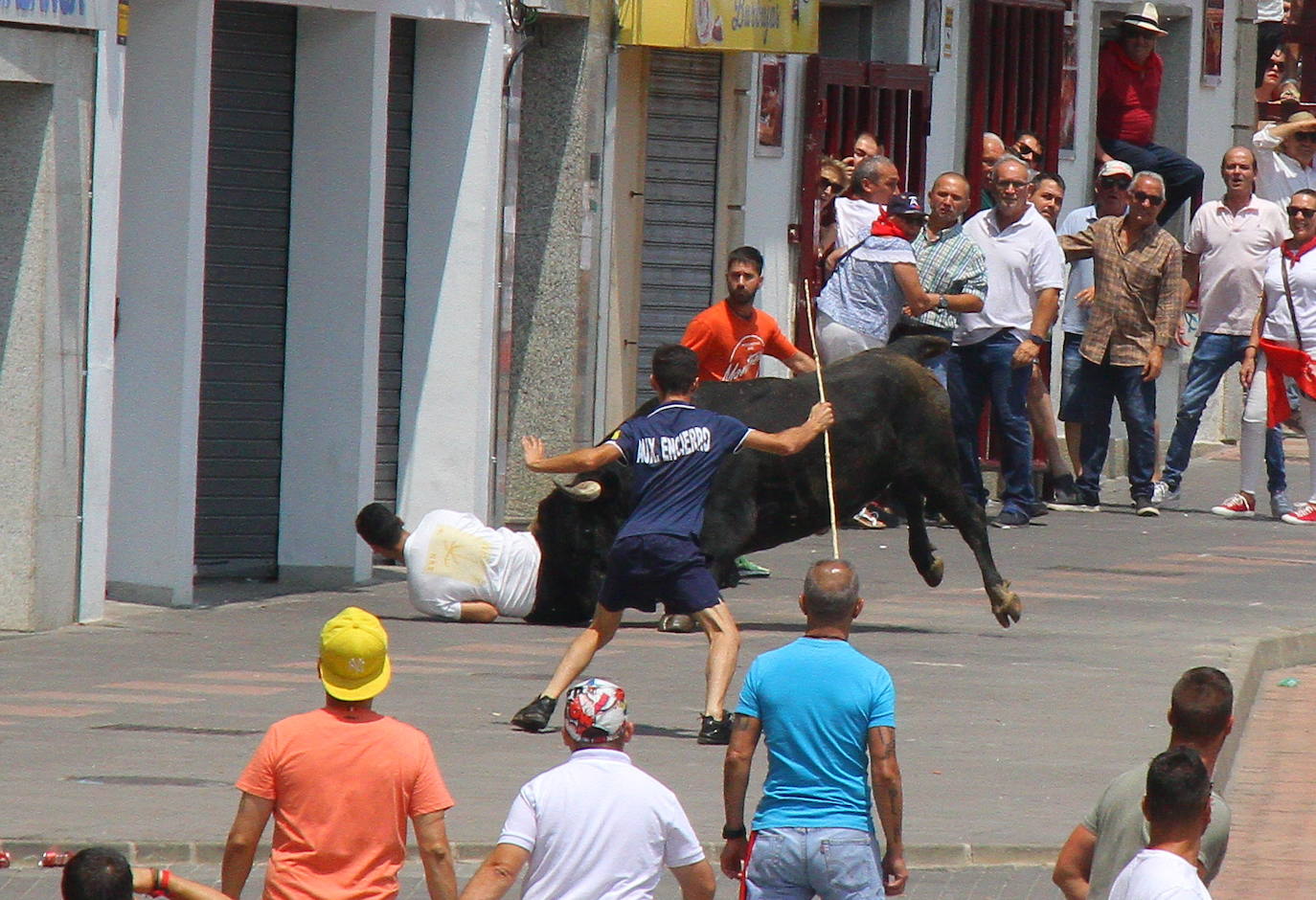 Últimos encierros de los Sanjuanes de Coria, en imágenes