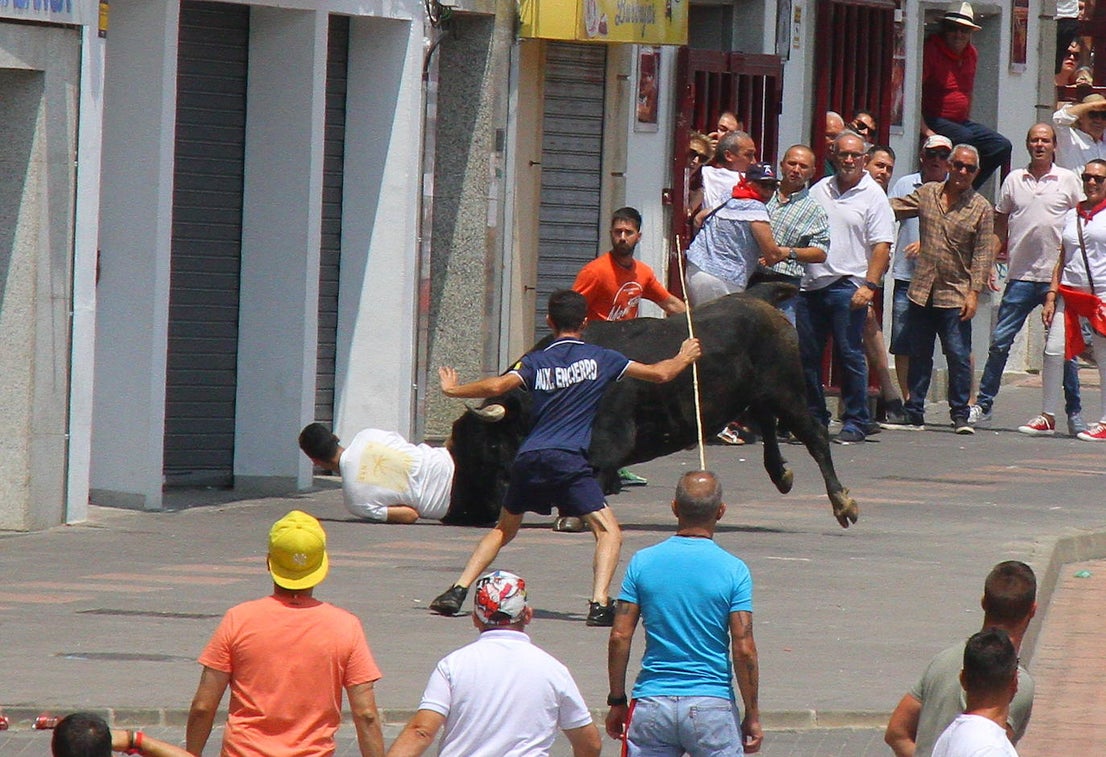 Últimos encierros de los Sanjuanes de Coria, en imágenes