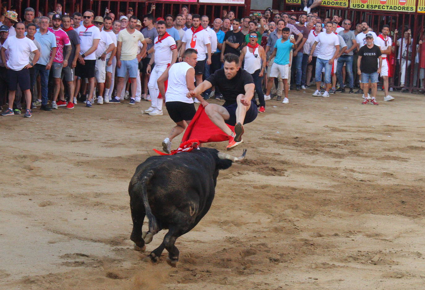 Vocea durante su lidia.