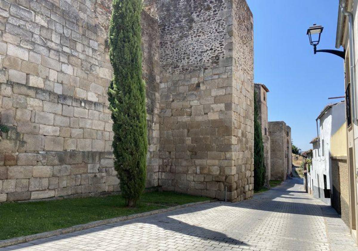 Piden mejoras en el alumbrado de las calles de Coria