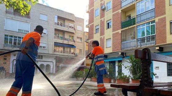 Se intensifican los tratamientos para el control de plagas de insectos